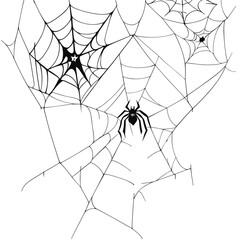 a black spider perched in the middle of an intricate web