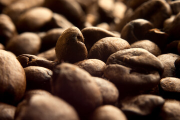 Isolated coffee beans macro photo