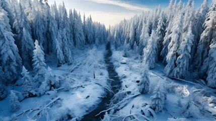 Snowy Winter Landscape. Drone View.