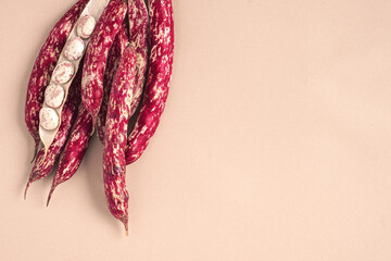 Cranberry beans. Borlotti bean pods in bowl. Top view. Stylish modern food background. Magenta...