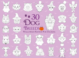 Set of 30 dog breeds with Halloween costumes for coloring