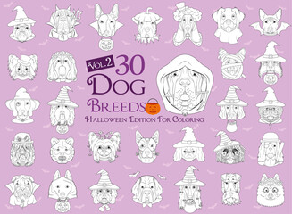Set of 30 dog breeds with Halloween costumes for coloring. Set 2