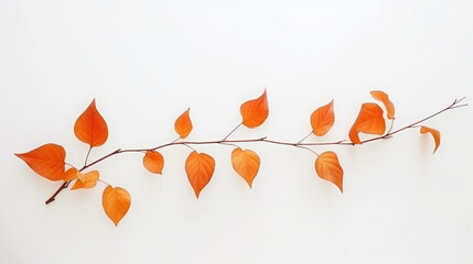 Autumn's Splendor: Reveling in the Vibrant Symphony of Orange Leaves