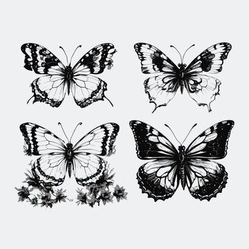 vector hand drawn butterfly outline pack