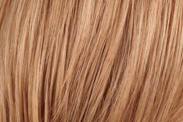 Close-up view of natural shiny hair, bunch of fair blonde curls background
