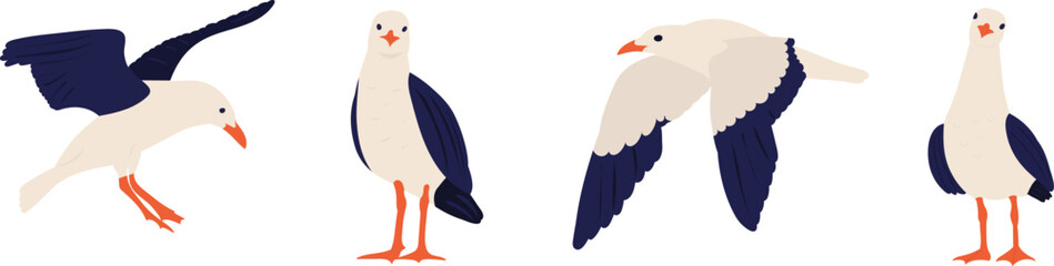 collection of seagulls birds  vector