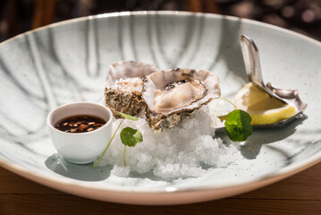 Fresh oysters on a plate in the sunshine with shadows in a restaurant