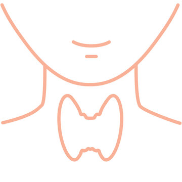 Healthy thyroid gland body organ silhouette line icon