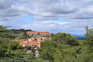 Fototapeta premium Collioure, a Mediterranean seaside town in southern France viewed from through gap in vegetation