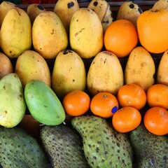 Mango fruit market