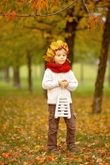 Adorable little child, blond boy with crown from leaves in park on autumn day.
