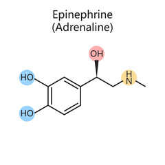 Chemical organic formula of epinephrine adrenaline diagram schematic raster illustration. Medical science educational illustration © Oleksandr Pokusai