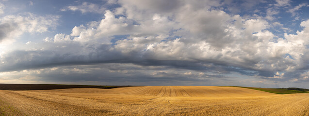 Clouds are gathering over a wheat field