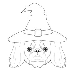 Halloween greeting card for coloring. Pekingese dog dressed as a witch with black hat