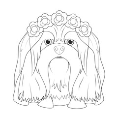 Halloween greeting card for coloring. Lhasa Apso dog dressed as a ghost with purple flowers on his head and a wedding veil