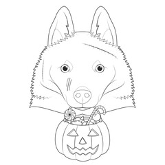 Halloween greeting card for coloring. Schipperke dog with several scars over his face and a pumpkin with candies in the mouth