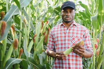 African farmer man holding a fresh corn at organic farm with smile and happy.Agriculture or cultivation concept.