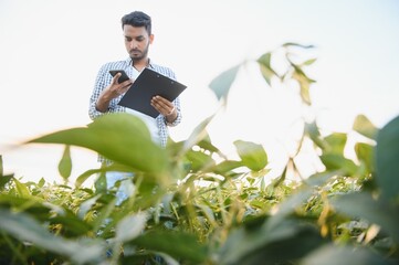A young handsome Indian agronomist is working in a soybean field and studying the crop.