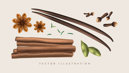 Spices set. Cinnamon, cardamom, clove, vanilla, rosemary. Realistic vector for aromatic herbs, cooking ingredients