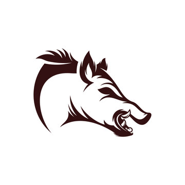 recommend clip art: Wild Boar Head vector illustration design. Wild Boar logo design Template.