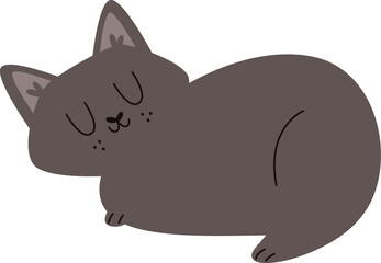 Sleeping Cat Pet