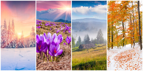 Collage of four seasons landscapes. Set of vertical pictures of nature background arranged in...