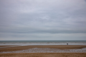 Cabourg beach in winter, France.