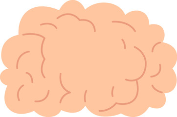 Brain Human Organ