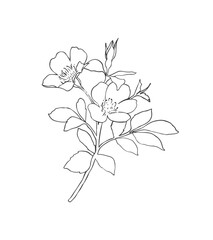 Vector modern art poster with plant. Aesthetic minimalist style. Hand drawn illustration.