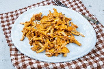 Fried wild mushrooms in a plate on a gray background.
