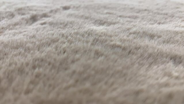 Brown Fur Texture Background, Slider Shot