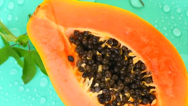 Papaya fruit on blue background with water drops, fresh exotic fruits backdrop design. Half of fresh organic Papaya exotic fruit with leaf close up. Top view, rotating