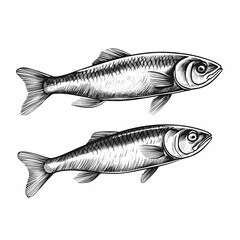 Obraz premium Couple Of Fish Drawn In Black And White