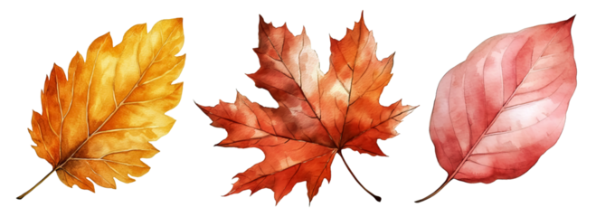 Set of artistic watercolor style autumn leaves isolated on white background. Fall nature elements.
