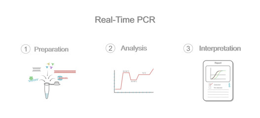 The important steps of real-time Polymerase Chain Reaction (PCR) that represents Master mixes preparation, Analysis (qPCR machines) and Interpretation (amplification curve).