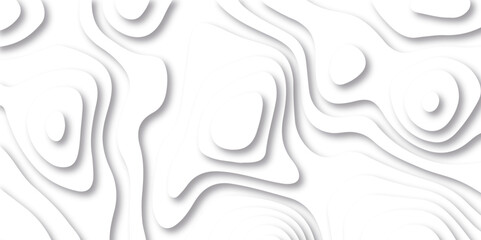 Abstract white paper cut background with lines. Background of the topographic map. White wave paper curved reliefs abstract background. Realistic papercut decoration textured with wavy layers.