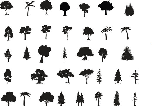 set of tree vector silhouettes