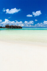  tropical beach in Maldives with few palm trees and blue lagoon
