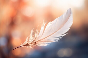 a floating feather against a soft, blurred background
