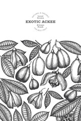 Hand drawn sketch style ackee banner. Organic fresh food vector illustration. Retro exotic fruit design template. Engraved style botanical background.