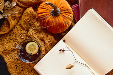 Reading in fall season. Open book and cup of tea on knitted plaid with autumn leaves as concept of literature, learning and education, in cozy fall mood.