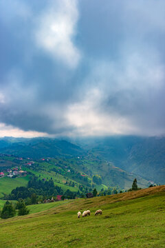 Rural idyllic landscape of the small villages in the Rucar-Bran mountain area, Brasov, Romania, scattered on the wooded hills, with the Bucegi mountains in the background, in wonderful springtime day © Creatikon Studio