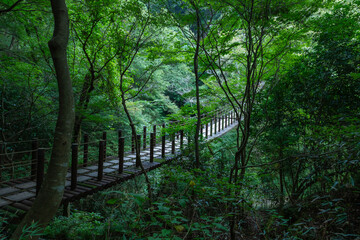 新緑が美しい花貫渓谷