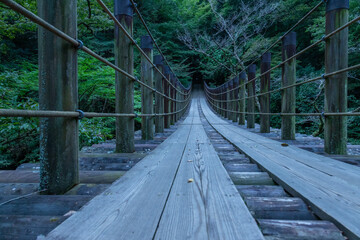 Fototapeta premium 新緑が美しい花貫渓谷