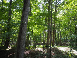 史跡キウス周提墓群の風景