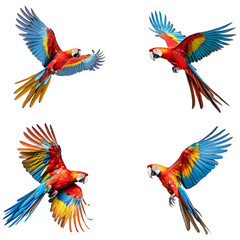 Macaw parrot flying beautifully on transparent background PNG