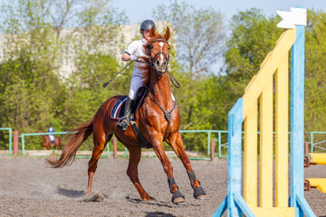 Unobediance of the horse in show jumping competition
