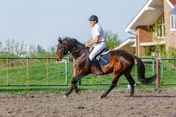 Young horseback sportsman on his course in showjumping competition