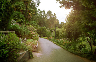 Fototapeta na wymiar Beautiful path in the summer park in warm colors. Botanical garden.