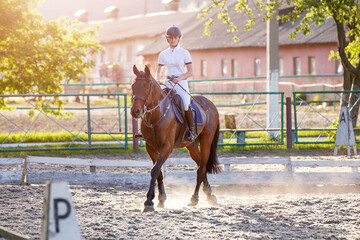 Young rider woman riding horse warming up before showjumping competition